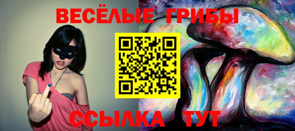 Орехово-Зуево  Галлюциногенные грибы Psilocybe  Вход с VPN 