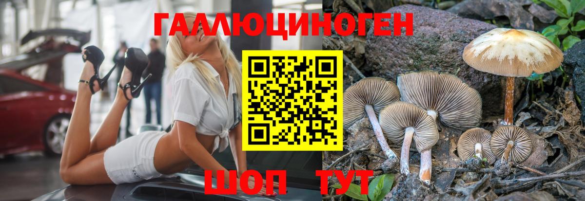 Галлюциногенные грибы мухоморы Орехово-Зуево
